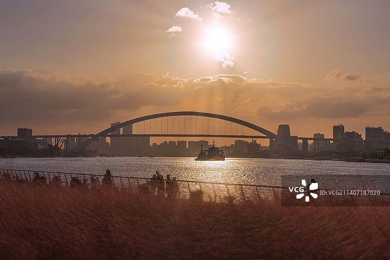 日落时分的上海黄浦江畔白莲泾公园的粉黛乱子草，后面的黄浦江和卢浦大桥。图片素材