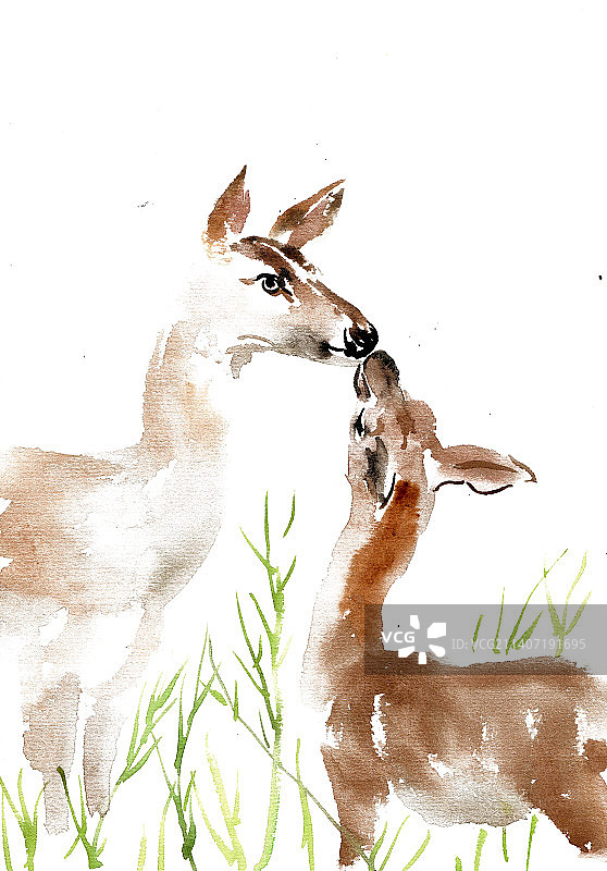 两只小鹿图片素材