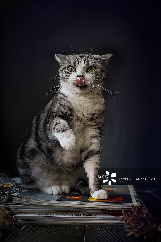 飞行模式图片素材