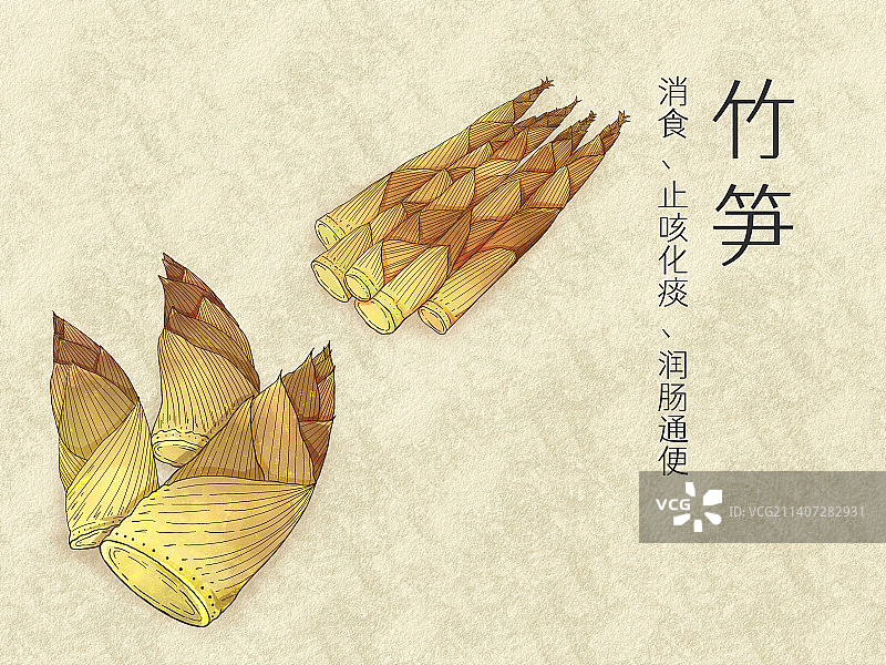 手绘水彩蔬菜竹笋插画图片素材