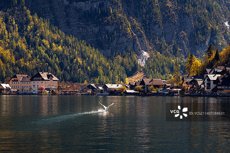 哈尔施塔特湖景图片素材