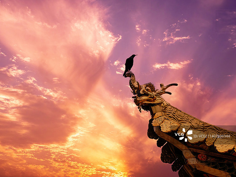 夕阳下的飞鸟 鸽子 房檐图片素材