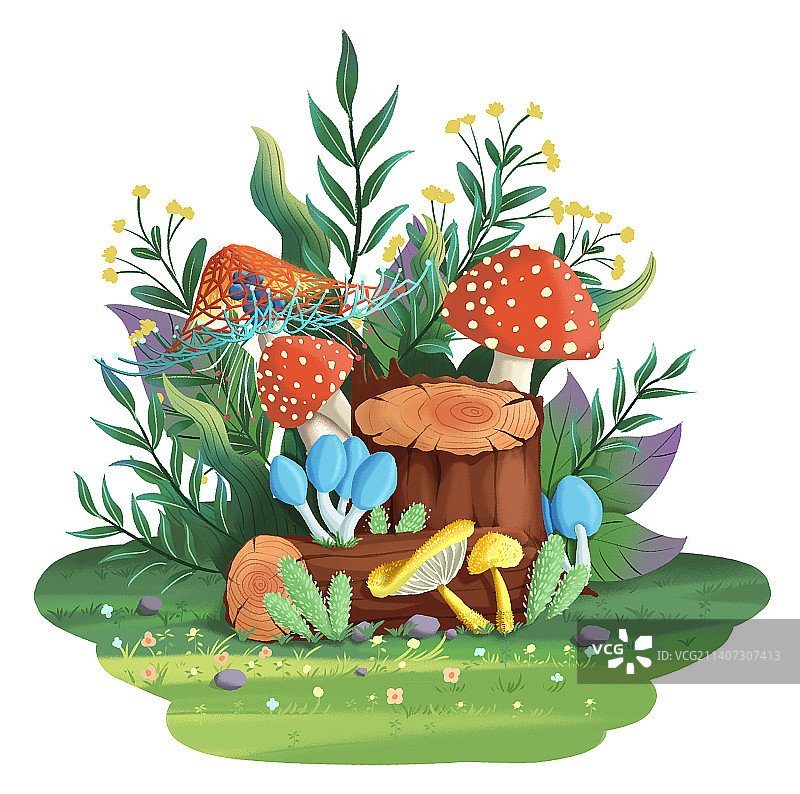 魅力蘑菇图片素材