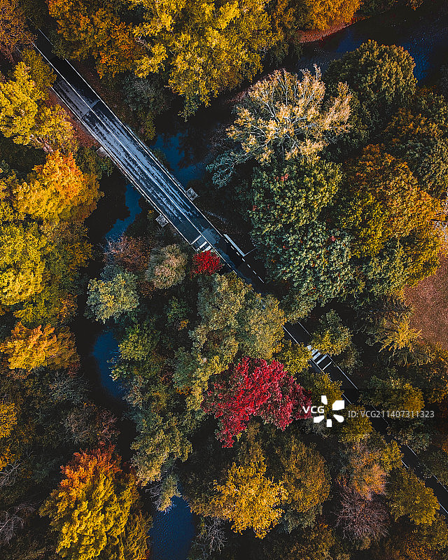 意大利蒙扎的秋树航拍图片素材