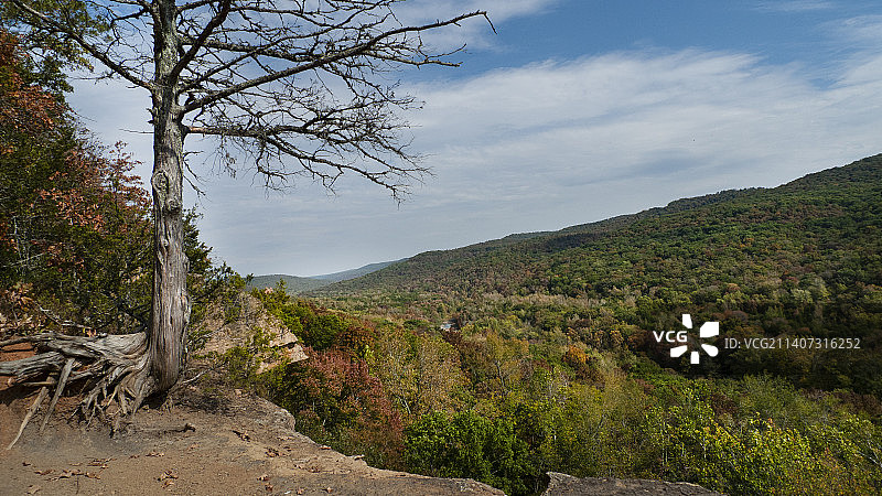 美国阿肯色州切斯特的风景图片素材