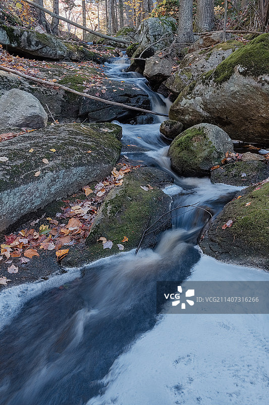 森林中小溪穿过岩石的风景图片素材