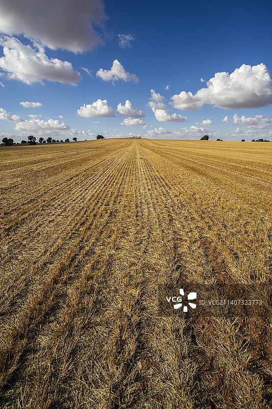 天空映衬下的农田风景图片素材