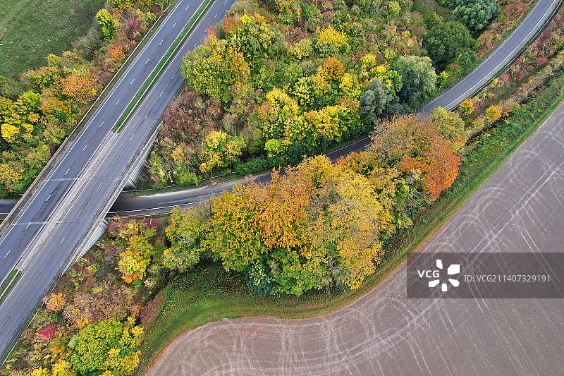 英国贝德福德郡秋季树木间公路高角度景观图片素材