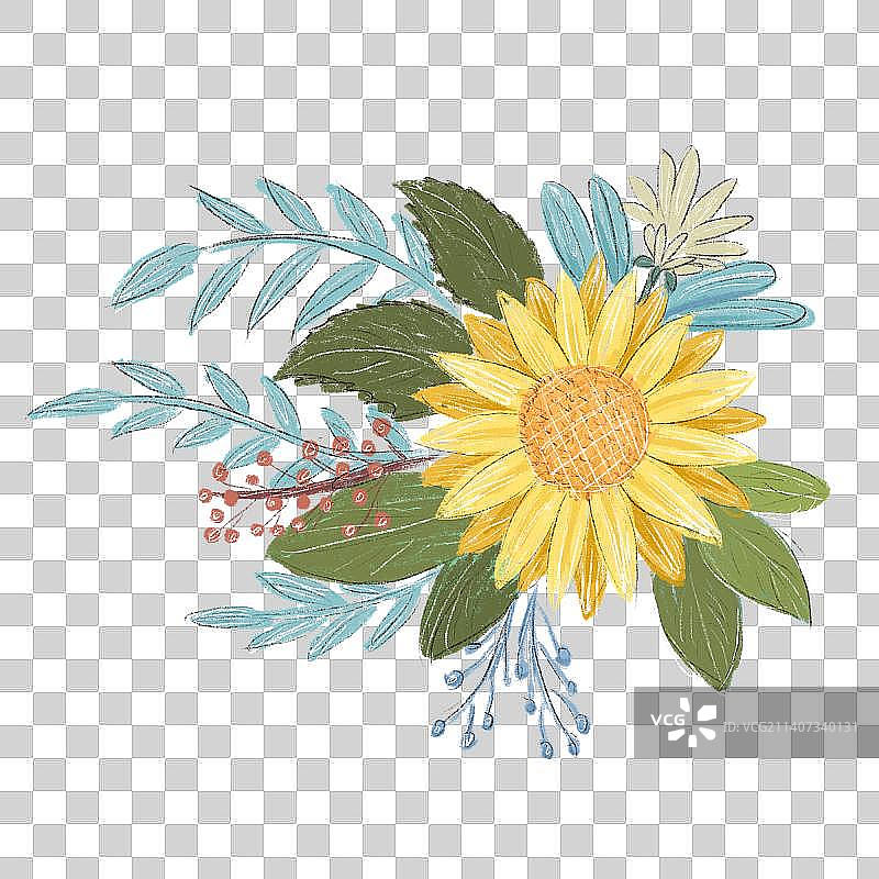 透明底太阳花黄色花朵植物特写镜头图片素材