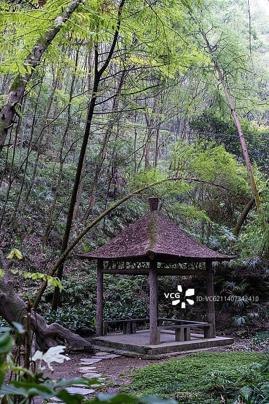 初秋安康香溪洞森林里的亭子图片素材