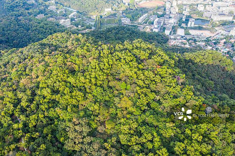 航拍广东广州白云山风景名胜区鸣春谷游览区山林风光图片素材