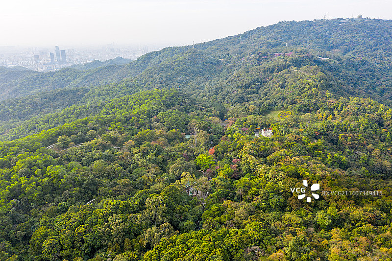 航拍广东广州白云山风景名胜区鸣春谷游览区山林风光图片素材
