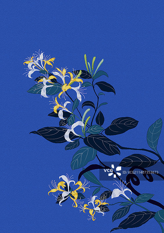 金银花图片素材