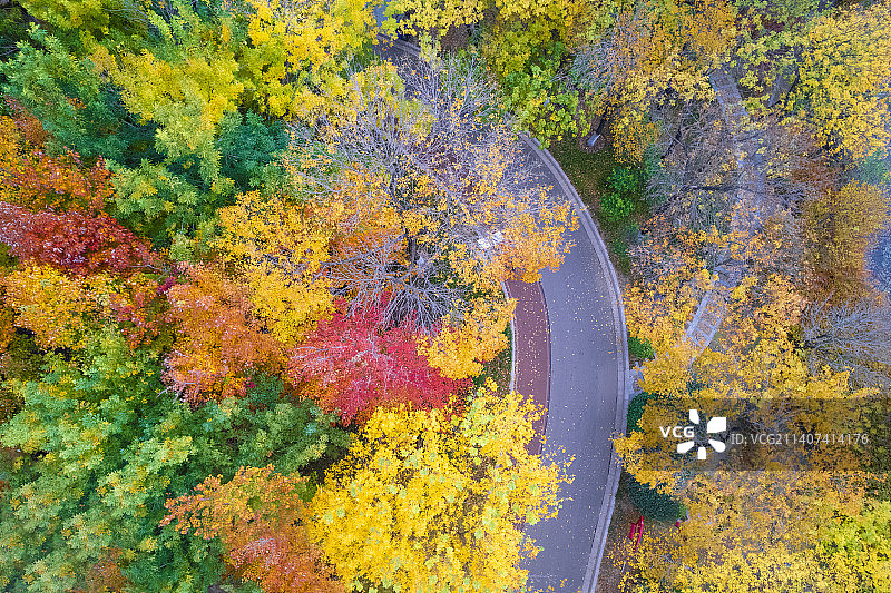 日照银河公园秋色正浓图片素材