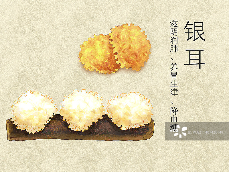 手绘水彩中药药材银耳插画图片素材