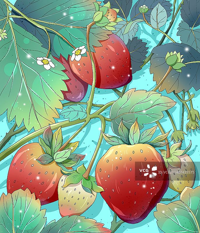 草莓成熟了图片素材