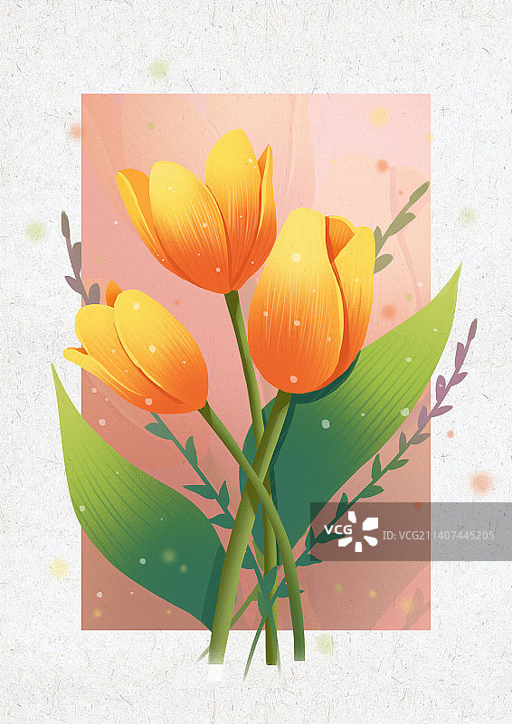 郁金香图片素材