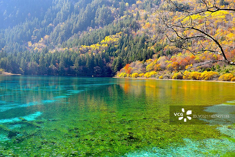 秋天，披上色彩的九寨沟图片素材