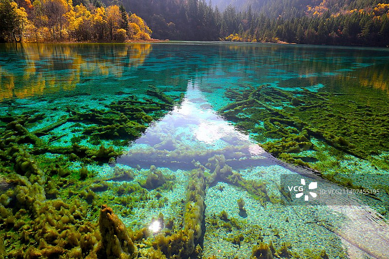 秋天，披上色彩的九寨沟图片素材