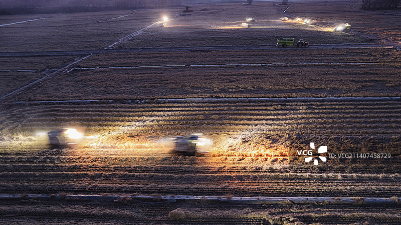 辽宁彰武县满堂红镇水稻秋收夜战图片素材