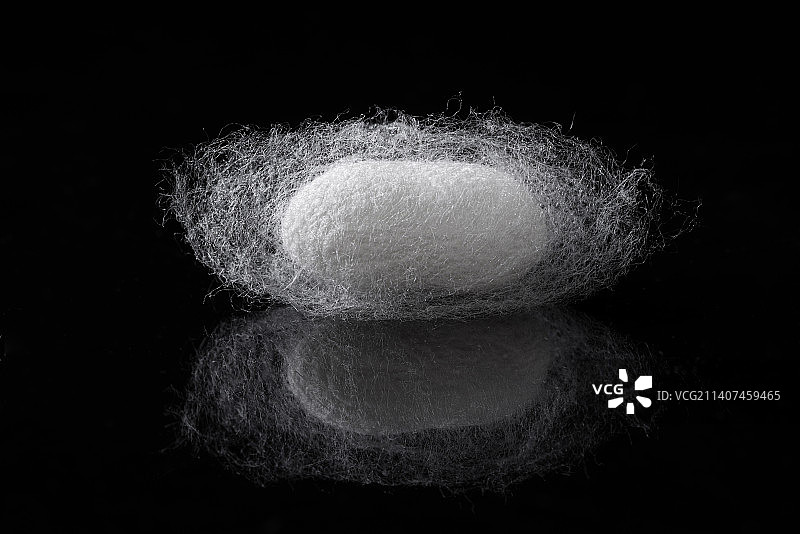 蚕茧图片素材