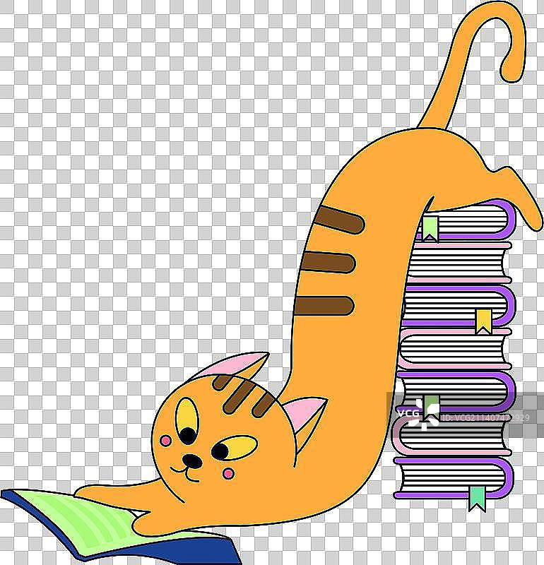 可爱小猫咪学习看书素材图片素材