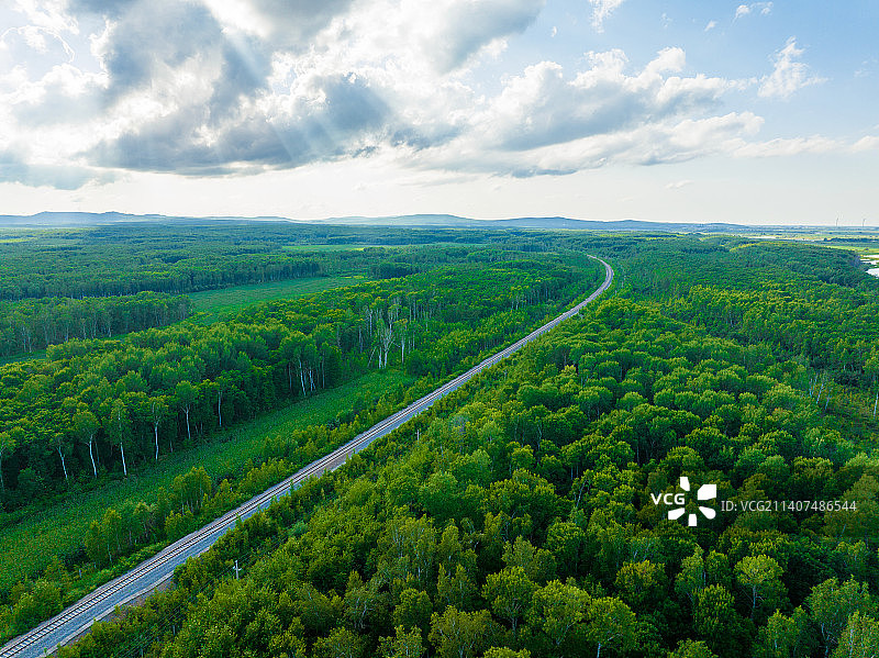 森林里的铁路图片素材