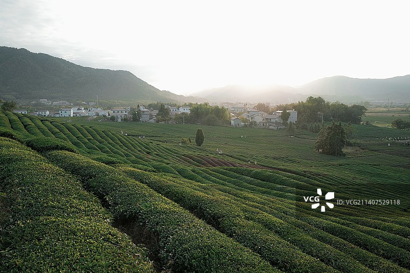 日暮下的景德镇浮梁寒溪村大地的艺术节图片素材