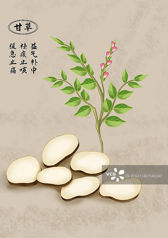 中药药材甘草图片素材