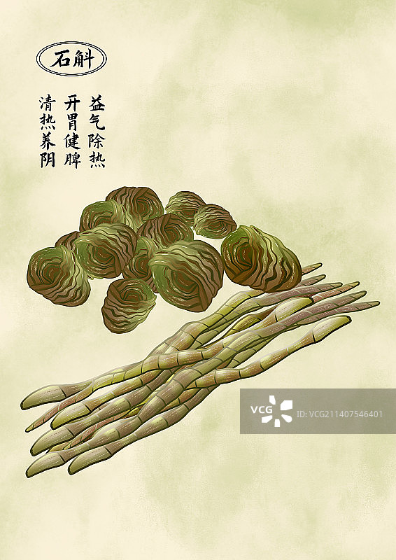 中药药材石斛图片素材