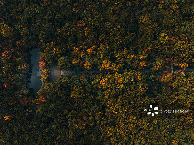 航拍秋天的南京紫金山灵谷寺图片素材