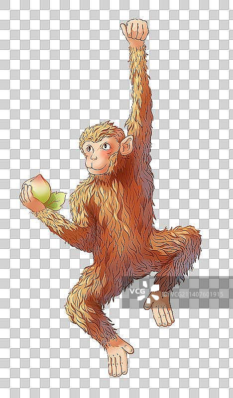 猴子摘桃插画图片素材