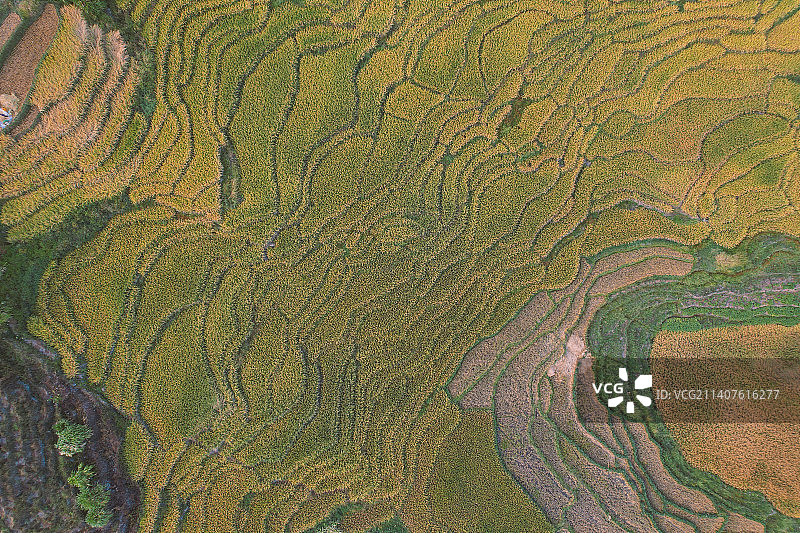 联合梯田图片素材