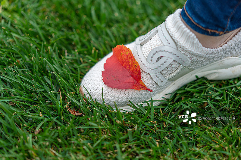 踏过五彩的秋天图片素材