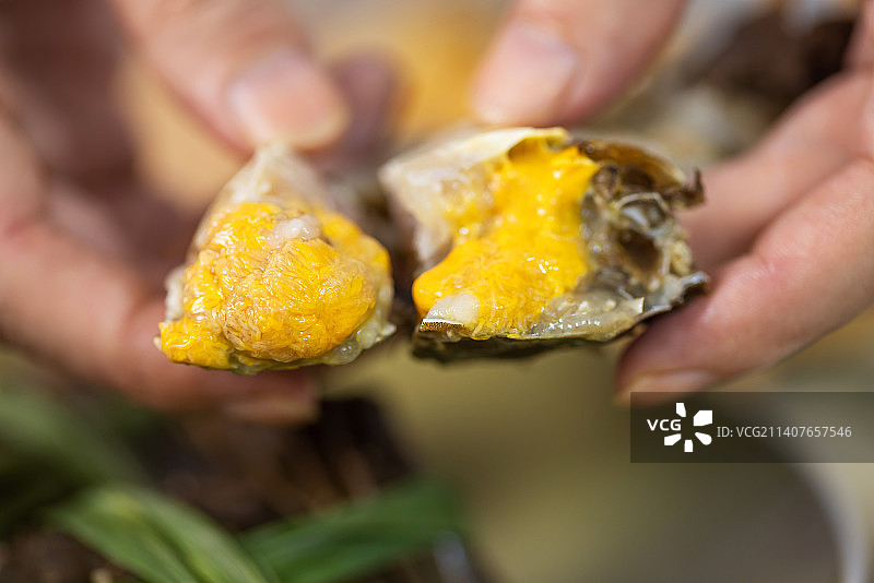生蟹黄大特写图片素材