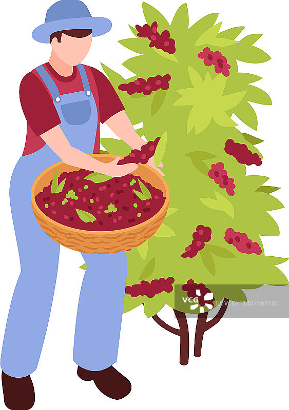 2.5D咖啡收割机图片素材