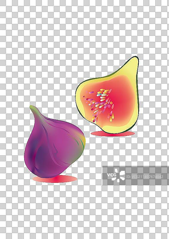 无花果图片素材