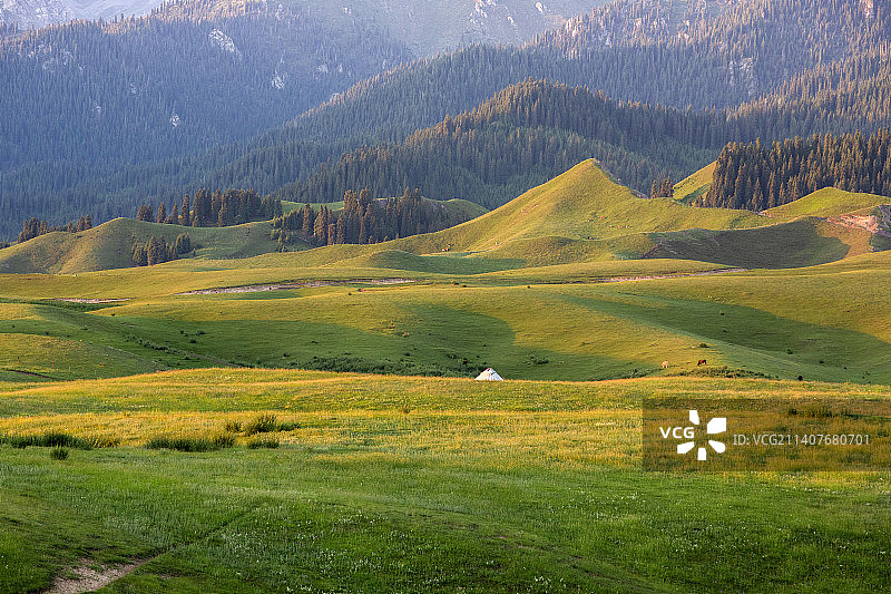 塔城沙湾县鹿角湾草场晨光图片素材