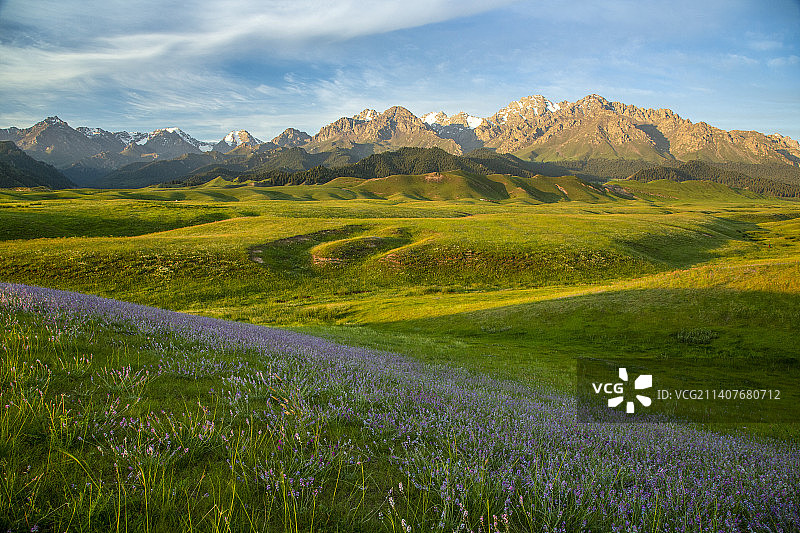 塔城沙湾县鹿角湾草场晨光图片素材