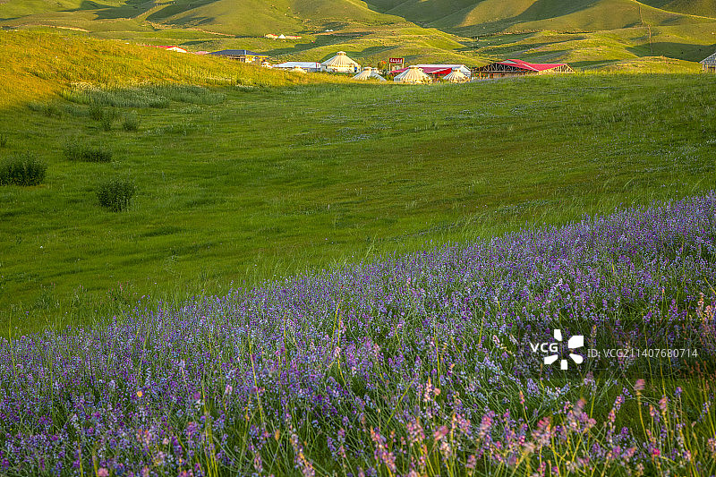 塔城沙湾县鹿角湾草场晨光图片素材
