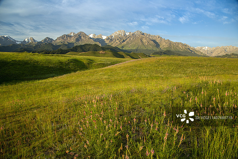 塔城沙湾县鹿角湾草场晨光图片素材