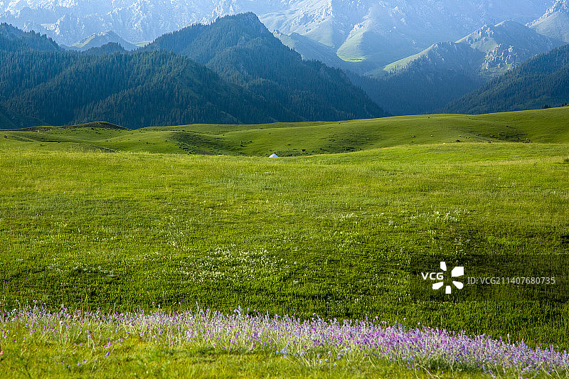 塔城沙湾县鹿角湾草场晨光图片素材