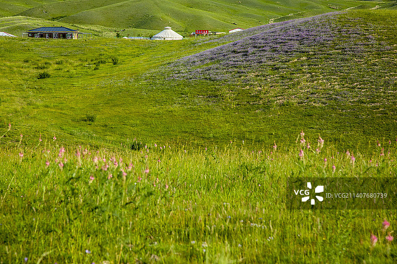 塔城沙湾县鹿角湾草场晨光图片素材