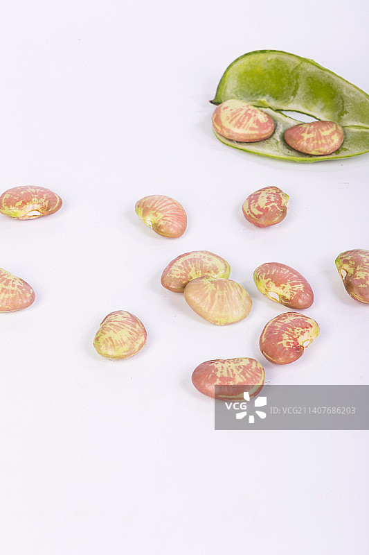 新鲜采摘的荷包豆，又名红花菜豆的静物图片图片素材