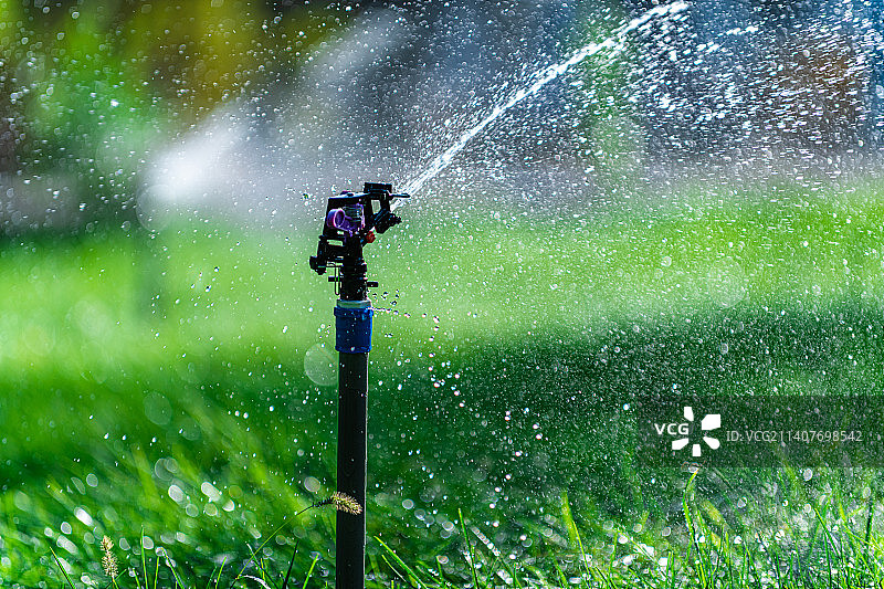 节约用水主题 英国伦敦 草坪上的洒水器图片素材