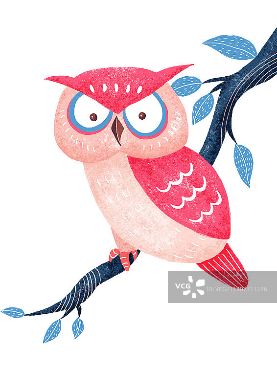 猫头鹰图片素材