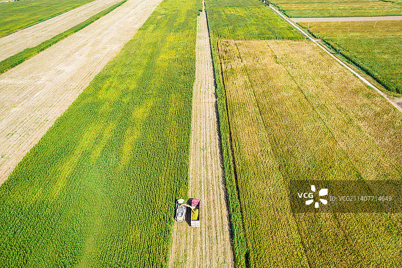 内蒙古呼和浩特市秋天里收割机收割用于青贮的玉米作业航拍图片素材