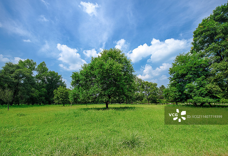 中国河北承德避暑山庄平原区万树园，草地与森林图片素材