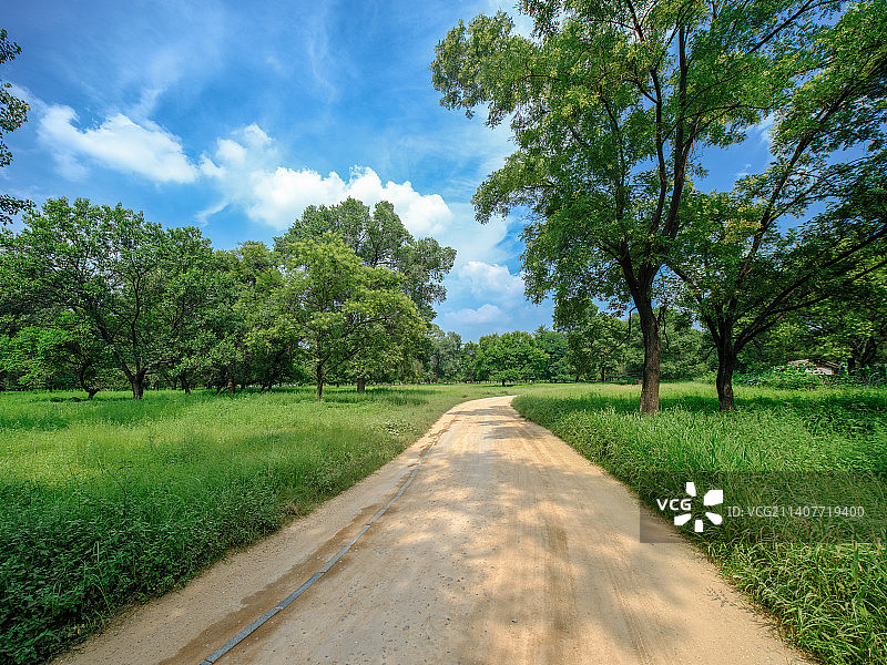 蜿蜒的土路穿过草地图片素材
