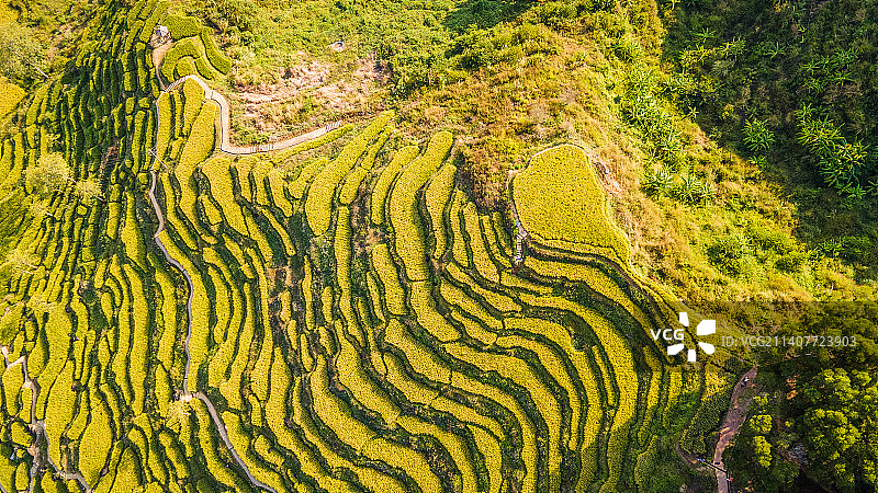 广东省汕尾市陆河县梯田风光图片素材
